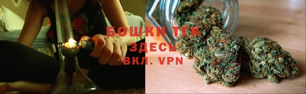 ALPHA PVP Коряжма