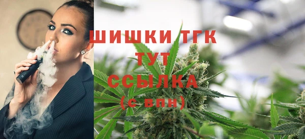 ALPHA PVP Коряжма