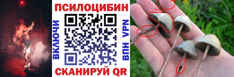 Галлюциногенные грибы мицелий Руза