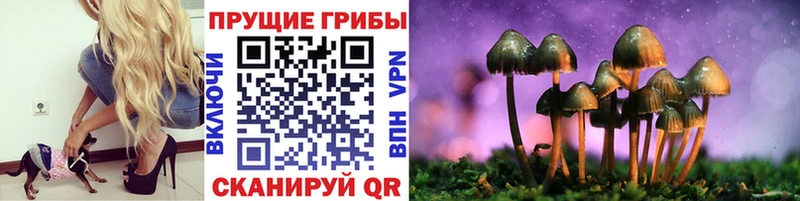 Купить где  Руза  Галлюциногенные грибы мухоморы 