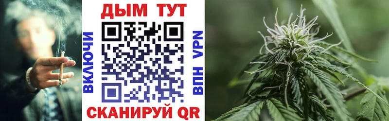 Конопля Bruce Banner  Купить закладки  Руза 